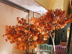 -汤泉良子(金源店)