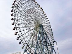 -大阪海游馆