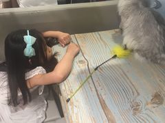 -小时光咖啡馆(开森度假森林店)