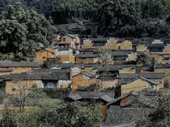 -杨家堂村