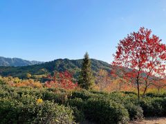 -塔川景区