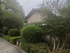 -八大山人梅湖景区