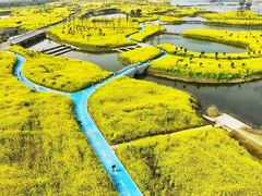 -中国天府农业博览园