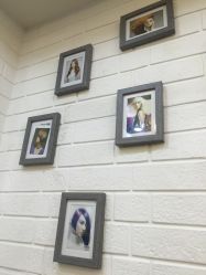 点击看大图 -小齐发型Star~salon