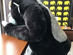 -ZOO COFFEE动物园咖啡(望京锐创店)