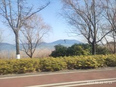 -西京湾花海