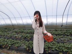 -云幽谷旅游区