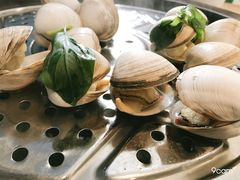 -海大大蒸汽海鲜餐厅·粤菜·特色小炒(欢乐颂店)