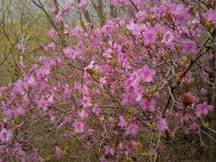 -白草畔自然风景区
