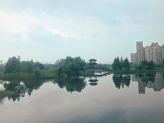 -洋湖国家湿地公园