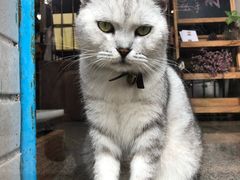 -三溪村
