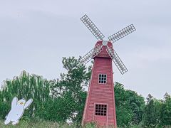 -同里国家湿地公园