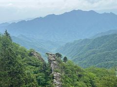 -朱雀国家森林公园