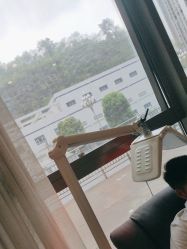 -碧莲盛·不剃发植发