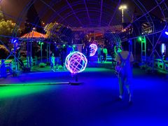 -锦江乐园舞狸花花游园会(夜场专享)