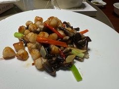 -天福苑(崇宁路店)