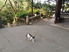 -江心屿景区