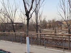 -太原动物园