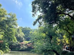 -岳麓山风景名胜区