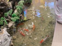 -南美元生态大酒店(海珠店)