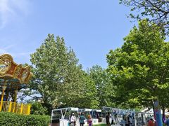 -秦皇岛乐岛海洋王国