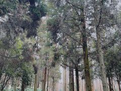 -上海怡沁园度假酒店