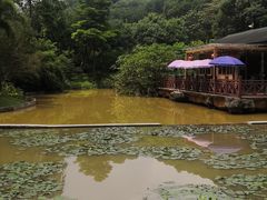 -云溪植物园
