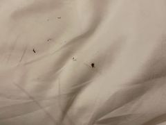 -杭州温德姆至尊豪廷大酒店