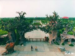 -广州市流溪河国家森林公园