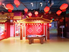 -中国宋庆龄青少年科技文化交流中心