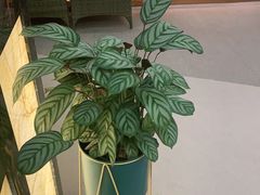 -汤里来温泉