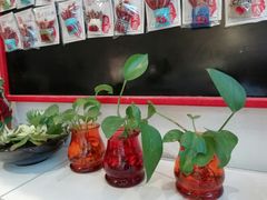 -大王油茶(二厂文创公园店)