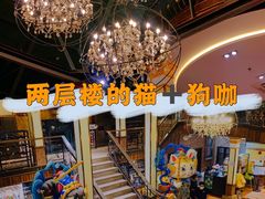 -more than meow吴止猫主题餐厅(承德 中船汇店)