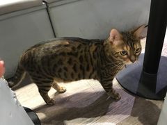 -小时光咖啡馆(开森度假森林店)