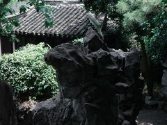 -艺圃