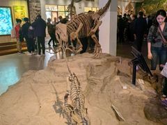 -自贡恐龙博物馆