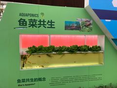 -光明农场大观园
