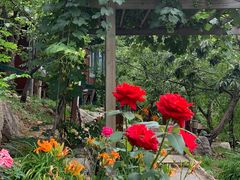 -北京水岸山吧度假村(雁栖镇店)