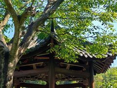-云溪植物园