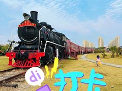 -菊园百果园