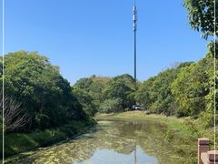 -上海海湾国家森林公园