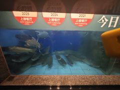 -淘米捞·米汤脆鲩鱼火锅(福田皇岗店)