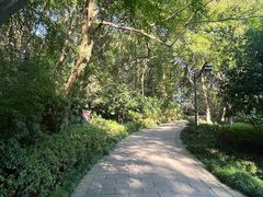 -杭州半山国家森林公园