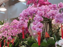-双季花艺园艺市场(浦东店)