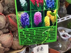 -万商花鸟市场