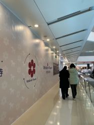 -玛莲朵·海菲秀冰珀科