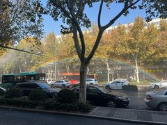 -逍遥镇刘相五胡辣汤豆沫馆(康复中街店)