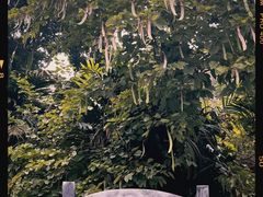 -鼎湖山风景区
