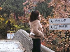 -狼牙山风景区