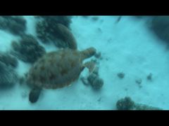 -马达京岛